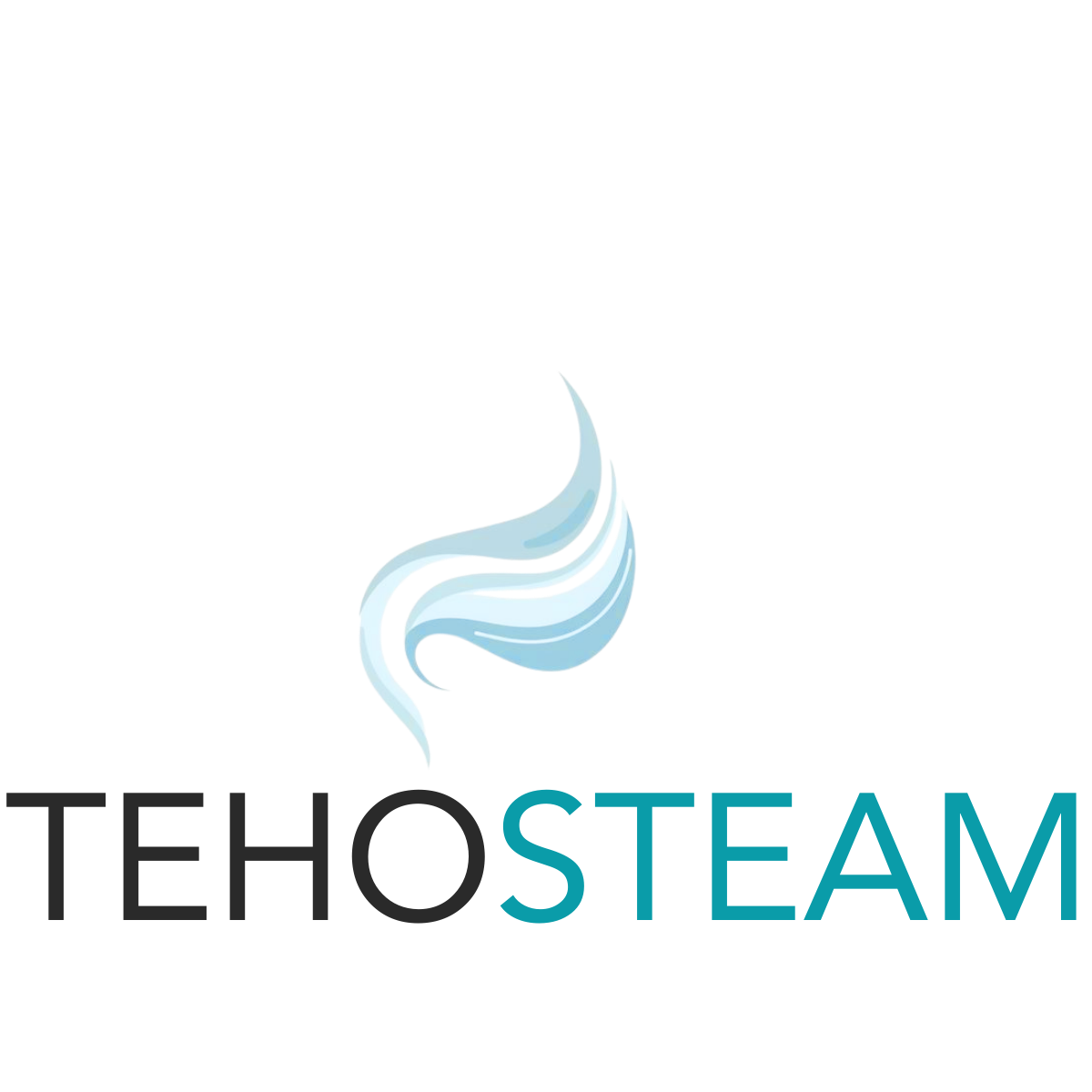 tehosteam (1)